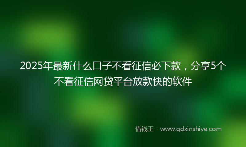 2025年最新什么口子不看征信必下款，分享5个不看征信网贷平台放款快的软件