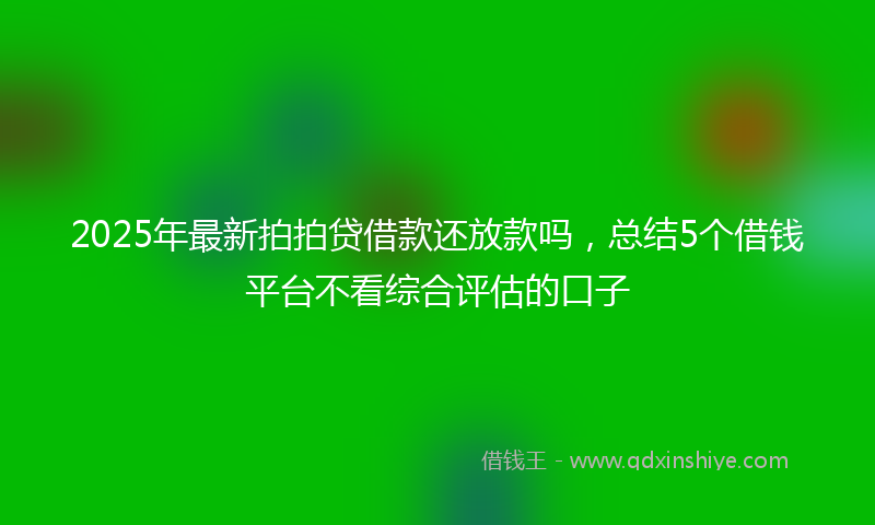 2025年最新拍拍贷借款还放款吗，总结5个借钱平台不看综合评估的口子