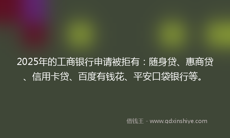 2025年的工商银行申请被拒有：随身贷、惠商贷、信用卡贷、百度有钱花、平安口袋银行等。