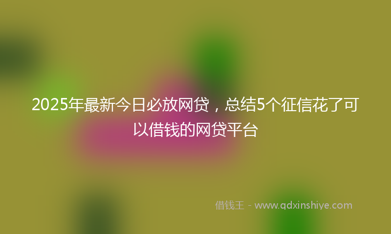 2025年最新今日必放网贷，总结5个征信花了可以借钱的网贷平台