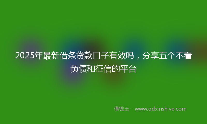 2025年最新借条贷款口子有效吗，分享五个不看负债和征信的平台