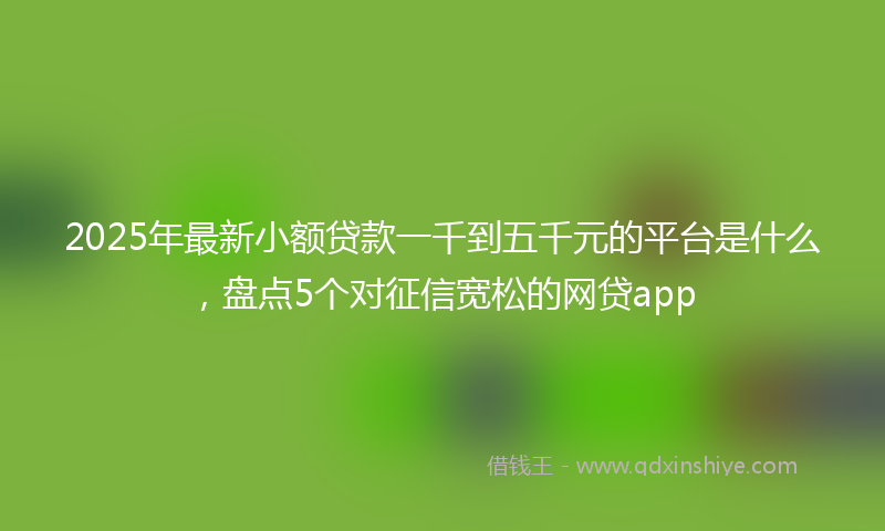 2025年最新小额贷款一千到五千元的平台是什么，盘点5个对征信宽松的网贷app