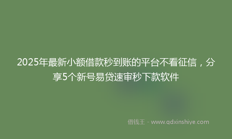 2025年最新小额借款秒到账的平台不看征信，分享5个新号易贷速审秒下款软件