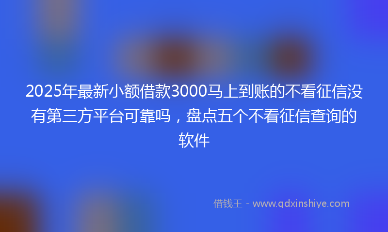 2025年最新小额借款3000马上到账的不看征信没有第三方平台可靠吗，盘点五个不看征信查询的软件