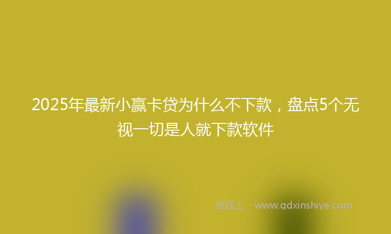 2025年最新小赢卡贷为什么不下款，盘点5个无视一切是人就下款软件