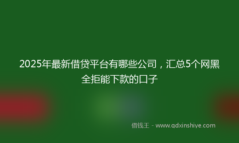 2025年最新借贷平台有哪些公司，汇总5个网黑全拒能下款的口子