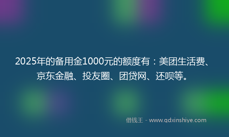 2025年的备用金1000元的额度有：美团生活费、京东金融、投友圈、团贷网、还呗等。