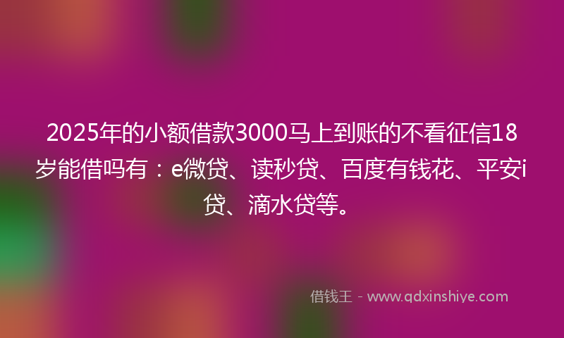 2025年的小额借款3000马上到账的不看征信18岁能借吗有：e微贷、读秒贷、百度有钱花、平安i贷、滴水贷等。