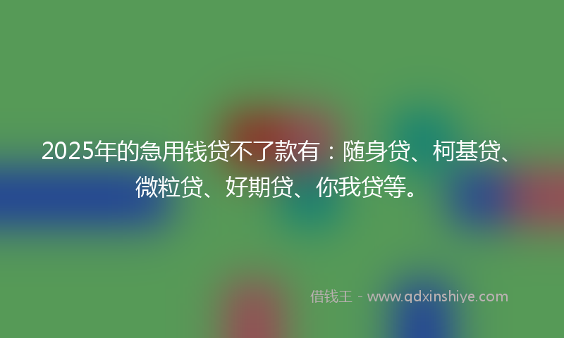 2025年的急用钱贷不了款有：随身贷、柯基贷、微粒贷、好期贷、你我贷等。