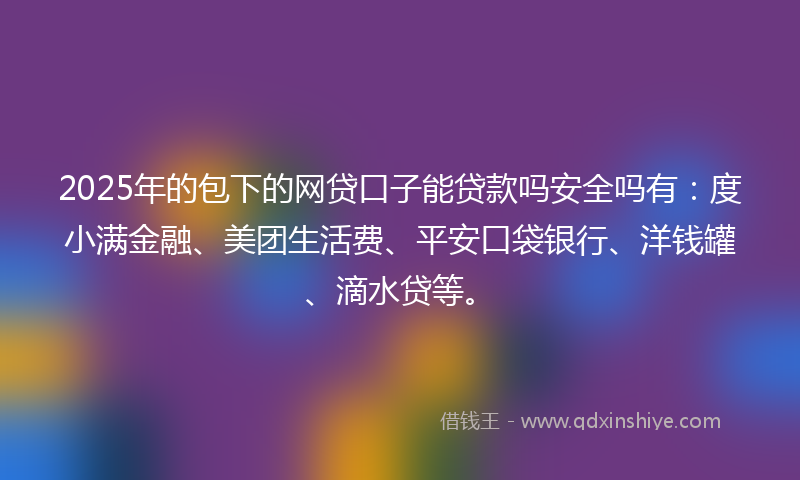 2025年的包下的网贷口子能贷款吗安全吗有：度小满金融、美团生活费、平安口袋银行、洋钱罐、滴水贷等。