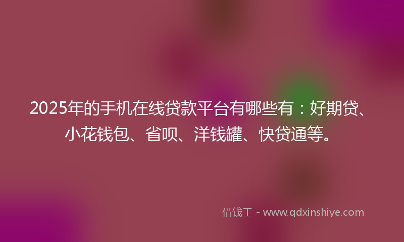 2025年的手机在线贷款平台有哪些有：好期贷、小花钱包、省呗、洋钱罐、快贷通等。