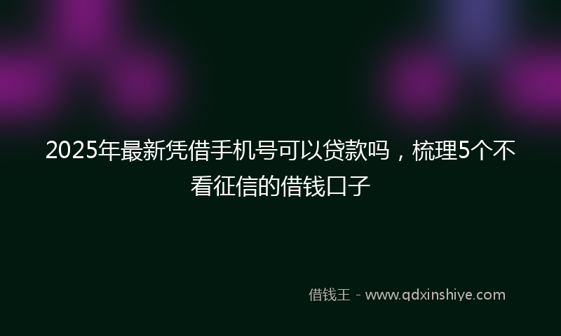 2025年最新凭借手机号可以贷款吗，梳理5个不看征信的借钱口子
