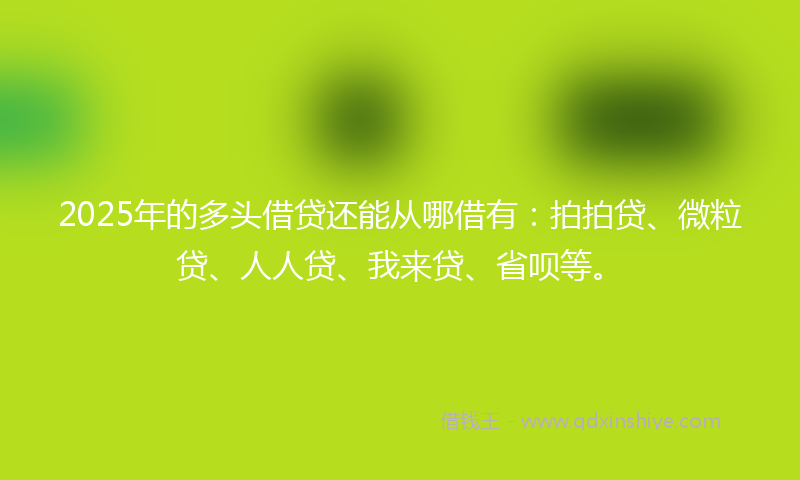 2025年的多头借贷还能从哪借有：拍拍贷、微粒贷、人人贷、我来贷、省呗等。
