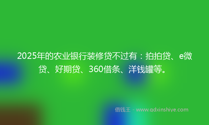 2025年的农业银行装修贷不过有：拍拍贷、e微贷、好期贷、360借条、洋钱罐等。