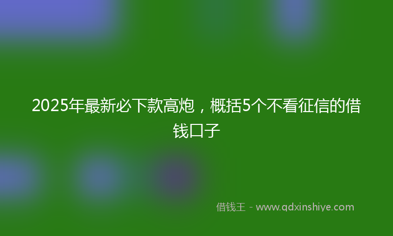2025年最新必下款高炮，概括5个不看征信的借钱口子