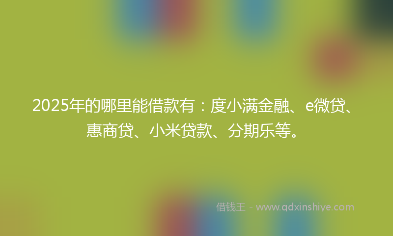 2025年的哪里能借款有：度小满金融、e微贷、惠商贷、小米贷款、分期乐等。