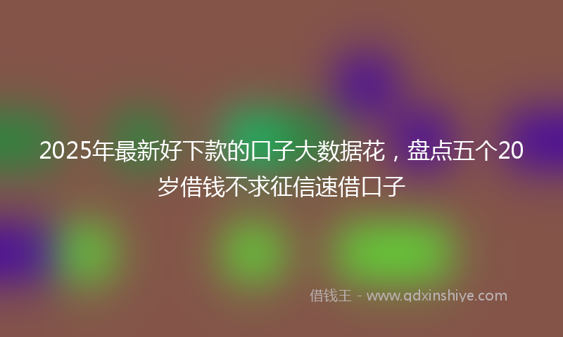 2025年最新好下款的口子大数据花，盘点五个20岁借钱不求征信速借口子