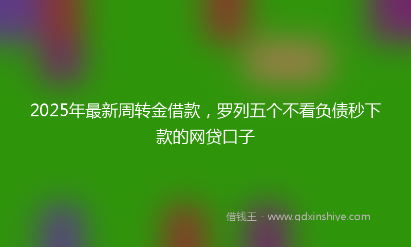 2025年最新周转金借款，罗列五个不看负债秒下款的网贷口子