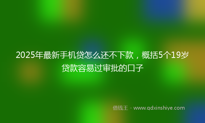 2025年最新手机贷怎么还不下款，概括5个19岁贷款容易过审批的口子