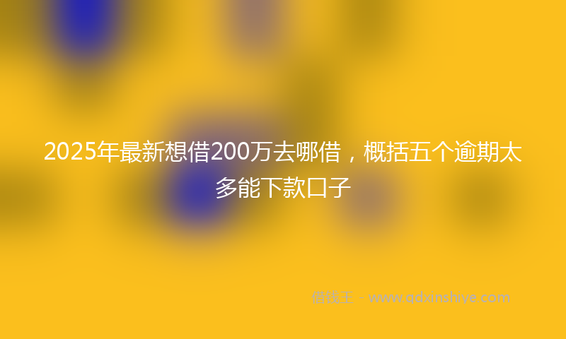 2025年最新想借200万去哪借，概括五个逾期太多能下款口子