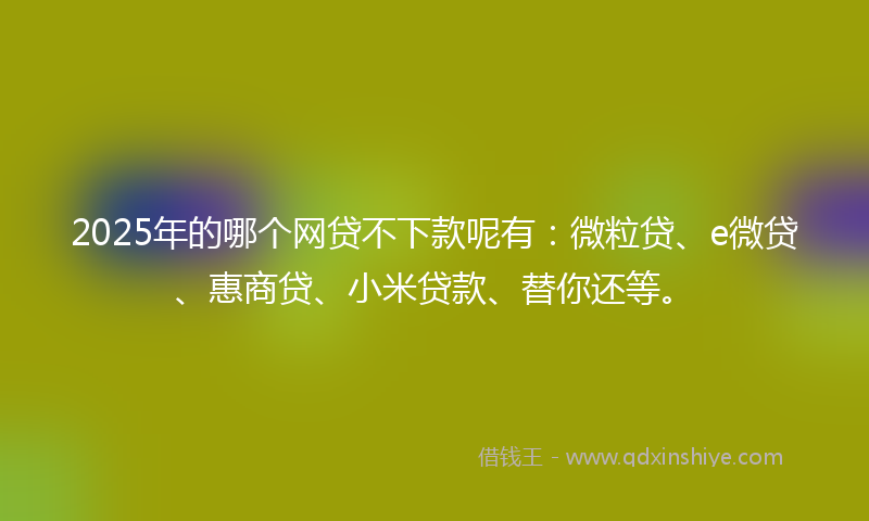2025年的哪个网贷不下款呢有：微粒贷、e微贷、惠商贷、小米贷款、替你还等。
