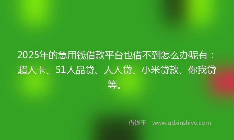 2025年的急用钱借款平台也借不到怎么办呢有：超人卡、51人品贷、人人贷、小米贷款、你我贷等。