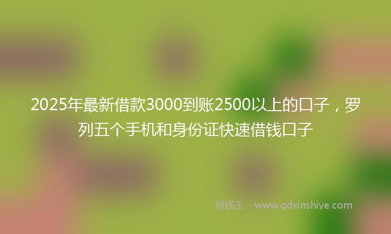 2025年最新借款3000到账2500以上的口子，罗列五个手机和身份证快速借钱口子