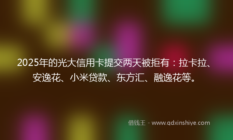 2025年的光大信用卡提交两天被拒有：拉卡拉、安逸花、小米贷款、东方汇、融逸花等。