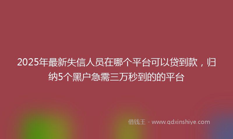 2025年最新失信人员在哪个平台可以贷到款，归纳5个黑户急需三万秒到的的平台