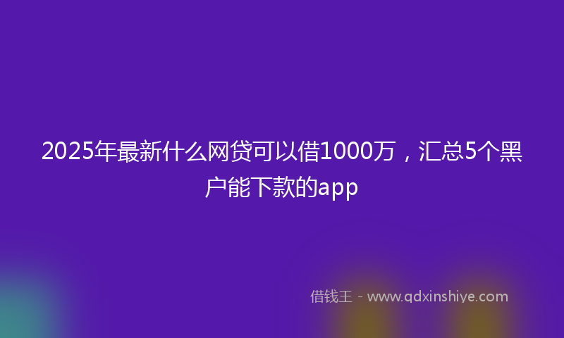 2025年最新什么网贷可以借1000万，汇总5个黑户能下款的app
