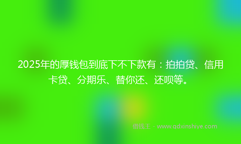 2025年的厚钱包到底下不下款有：拍拍贷、信用卡贷、分期乐、替你还、还呗等。