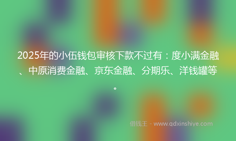 2025年的小伍钱包审核下款不过有：度小满金融、中原消费金融、京东金融、分期乐、洋钱罐等。