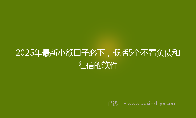 2025年最新小额口子必下，概括5个不看负债和征信的软件