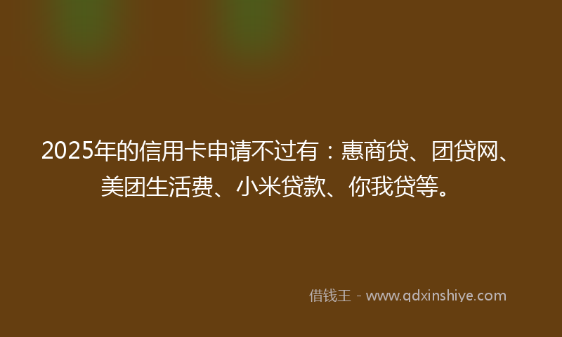 2025年的信用卡申请不过有：惠商贷、团贷网、美团生活费、小米贷款、你我贷等。