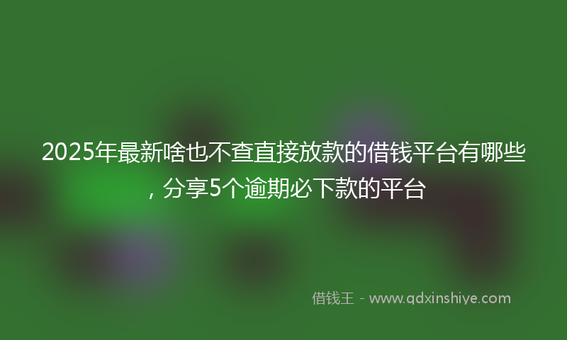 2025年最新啥也不查直接放款的借钱平台有哪些，分享5个逾期必下款的平台