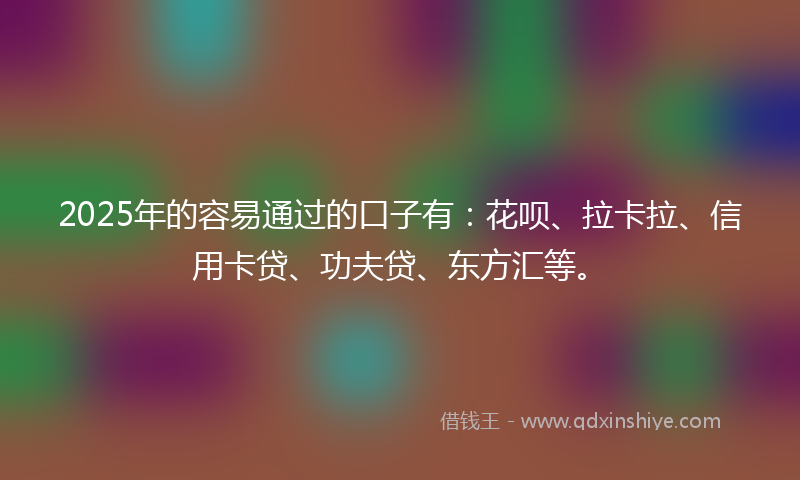 2025年的容易通过的口子有：花呗、拉卡拉、信用卡贷、功夫贷、东方汇等。