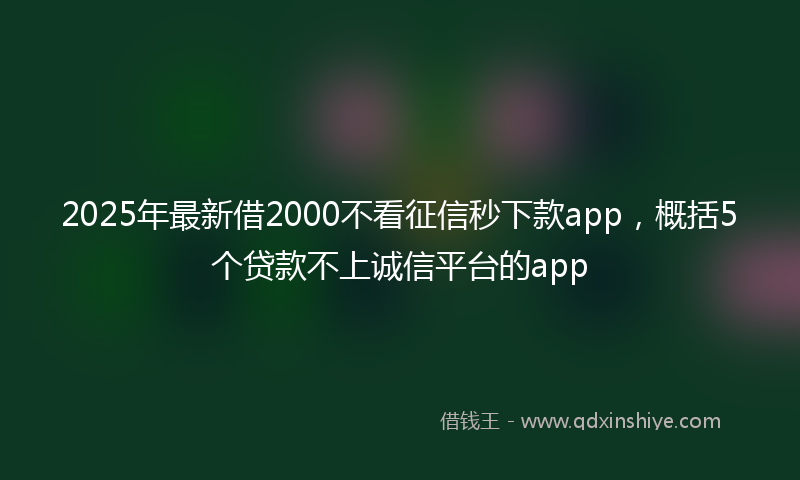 2025年最新借2000不看征信秒下款app，概括5个贷款不上诚信平台的app