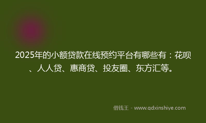 2025年的小额贷款在线预约平台有哪些有：花呗、人人贷、惠商贷、投友圈、东方汇等。