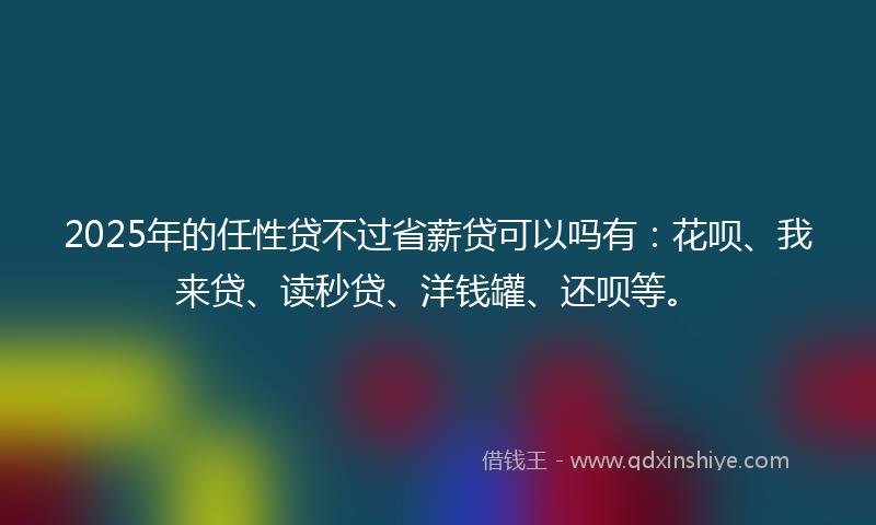 2025年的任性贷不过省薪贷可以吗有：花呗、我来贷、读秒贷、洋钱罐、还呗等。