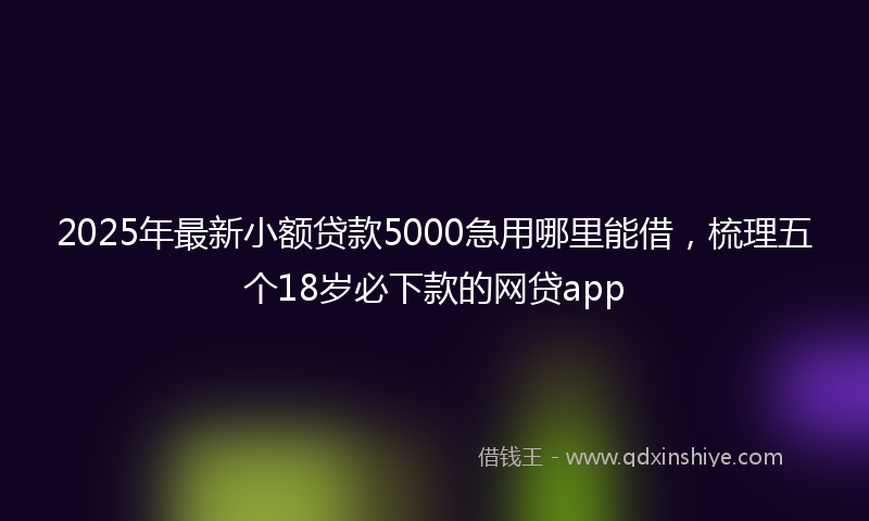 2025年最新小额贷款5000急用哪里能借，梳理五个18岁必下款的网贷app