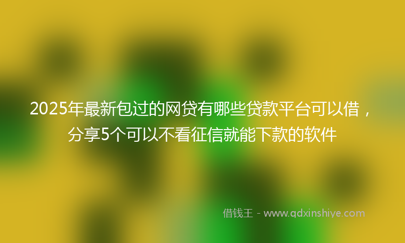 2025年最新包过的网贷有哪些贷款平台可以借，分享5个可以不看征信就能下款的软件