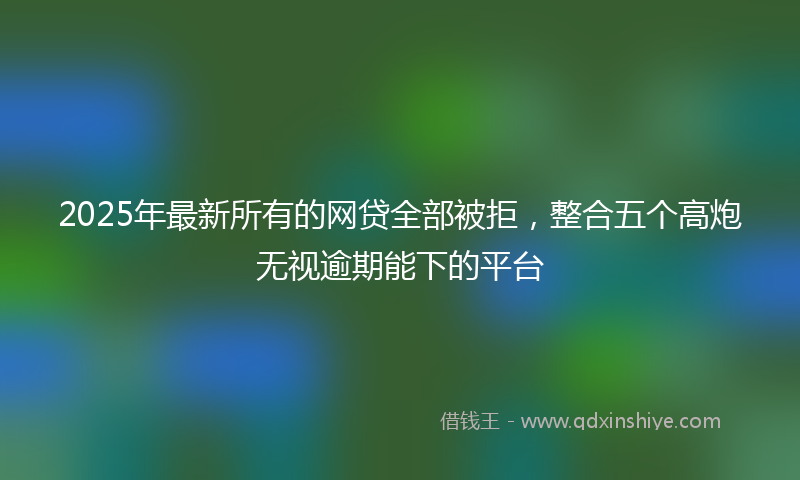 2025年最新所有的网贷全部被拒，整合五个高炮无视逾期能下的平台