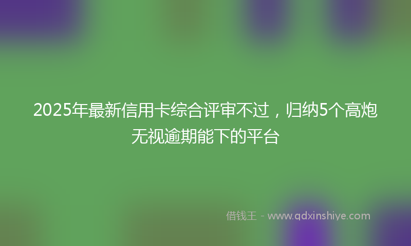 2025年最新信用卡综合评审不过，归纳5个高炮无视逾期能下的平台