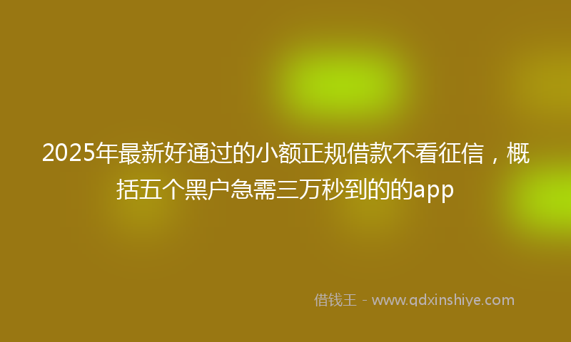 2025年最新好通过的小额正规借款不看征信，概括五个黑户急需三万秒到的的app