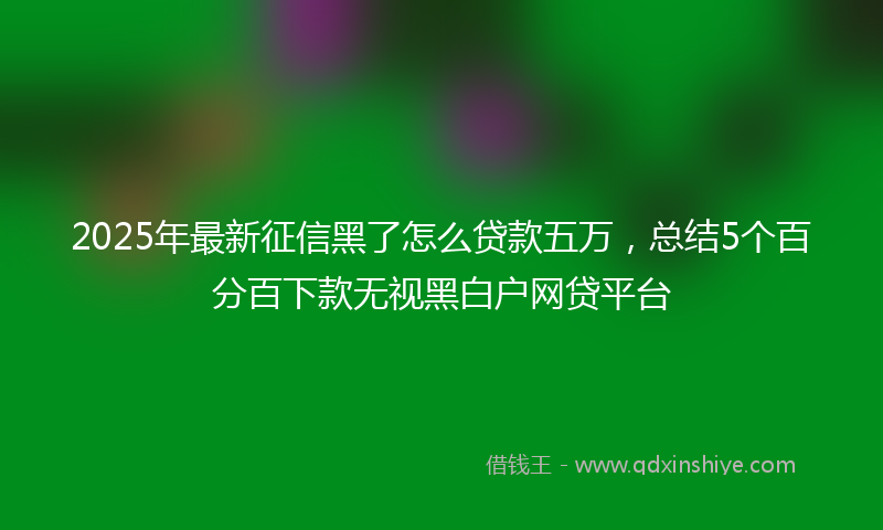 2025年最新征信黑了怎么贷款五万，总结5个百分百下款无视黑白户网贷平台