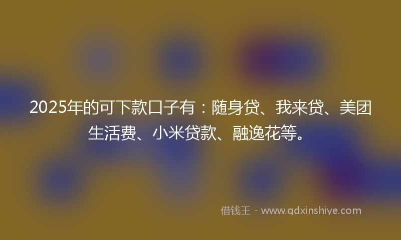 2025年的可下款口子有：随身贷、我来贷、美团生活费、小米贷款、融逸花等。