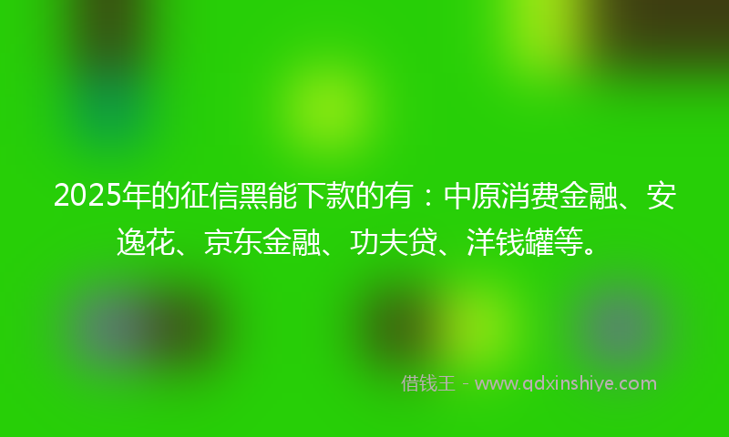 2025年的征信黑能下款的有：中原消费金融、安逸花、京东金融、功夫贷、洋钱罐等。
