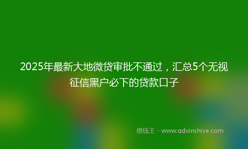 2025年最新大地微贷审批不通过，汇总5个无视征信黑户必下的贷款口子