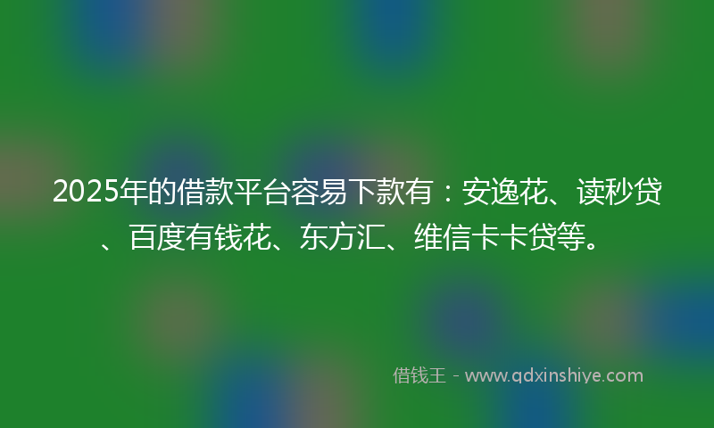 2025年的借款平台容易下款有：安逸花、读秒贷、百度有钱花、东方汇、维信卡卡贷等。