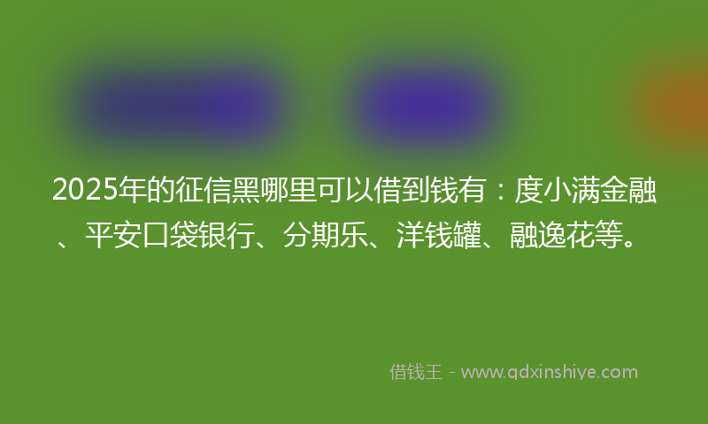 2025年的征信黑哪里可以借到钱有：度小满金融、平安口袋银行、分期乐、洋钱罐、融逸花等。